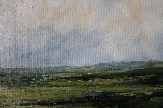 Changing light on the fields, Irish Landscape