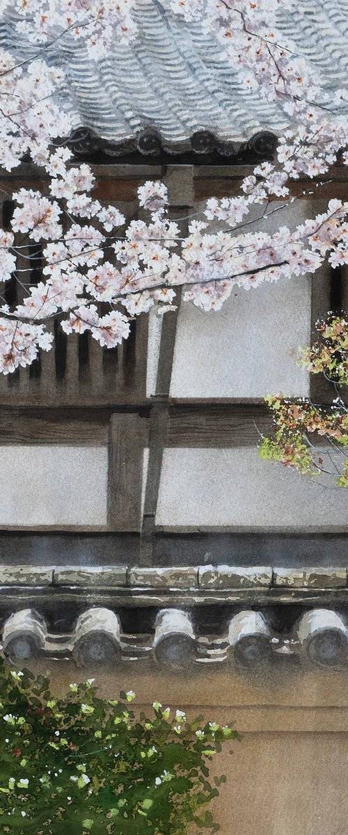 Spring Breeze in Sagano, Kyoto by Masato Watanabe