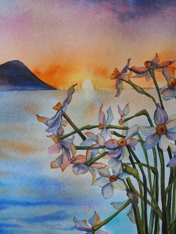 Narcissus on sunset