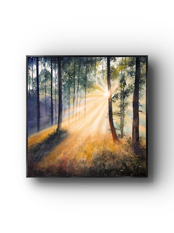 Whispers of Morning Light