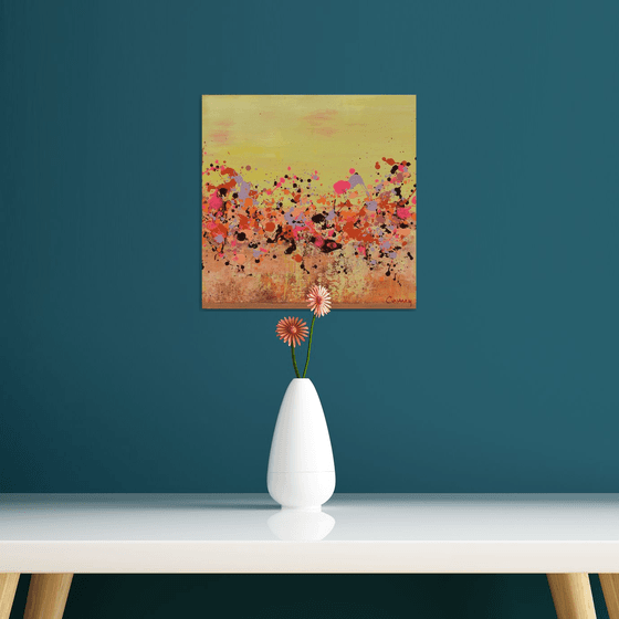 Sunkist Coral 1