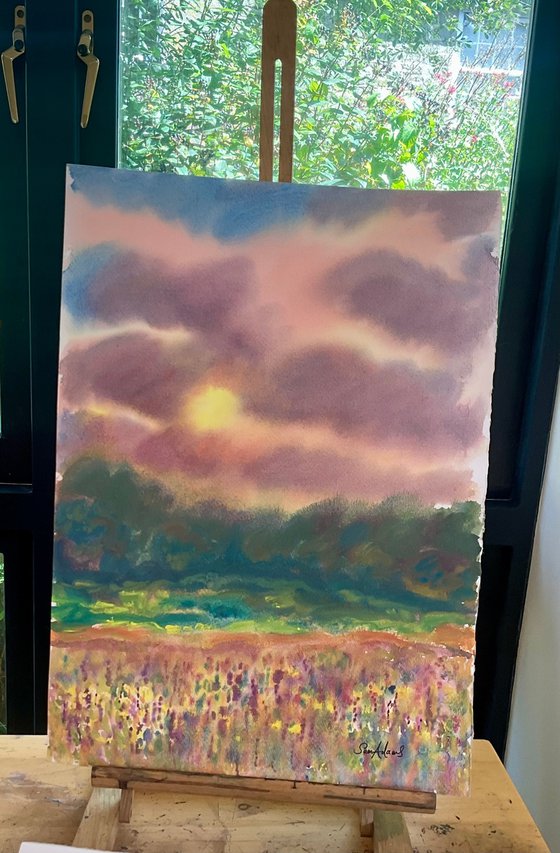 Millook Meadow at Sunset