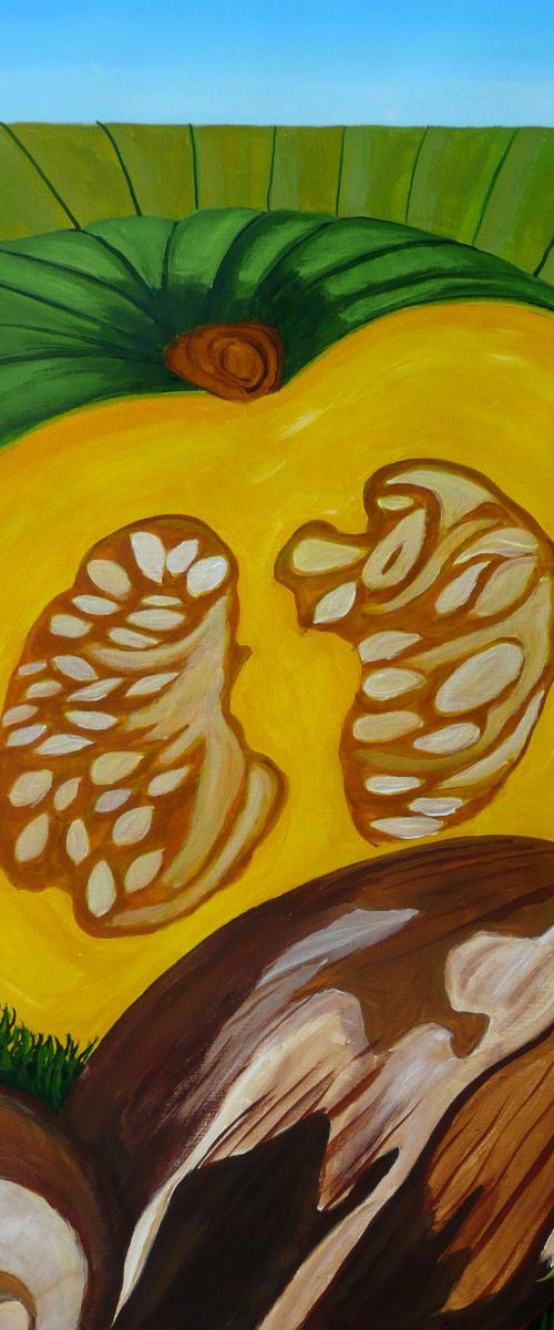 Pumpkin by Dunphy Fine Art