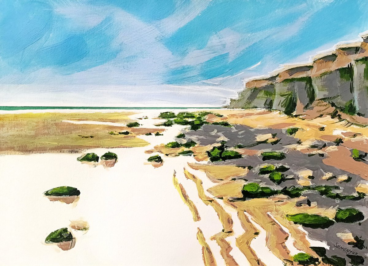 Normandy Beach at Low Tide by Evgen Semenyuk