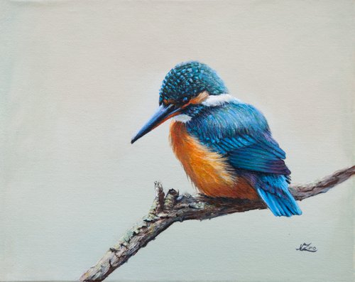 Kingfisher 6 by Norma Beatriz Zaro