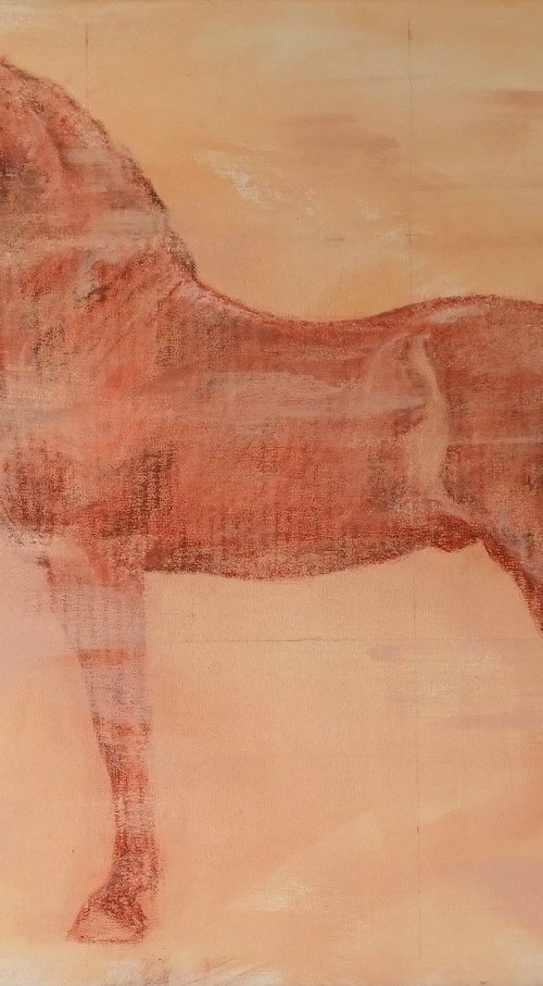 Percheron Stallion Study by Jo Van Kampen