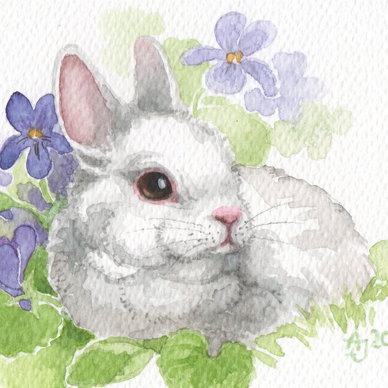 Spring is coming - Bunny