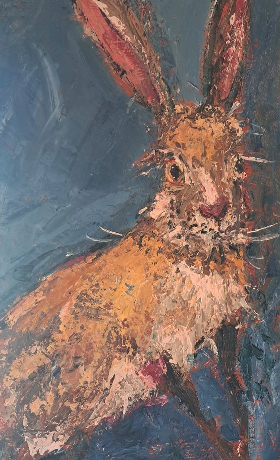 Irish Hare