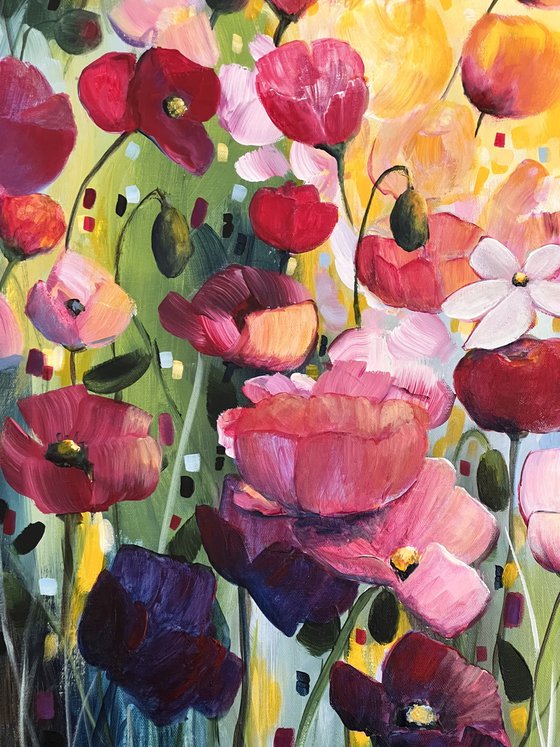 Poppies Land 3