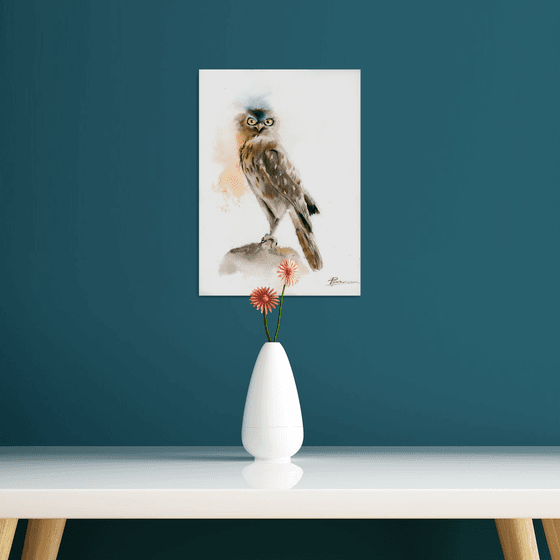 Young Owl