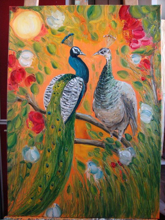 Pair of peacocks