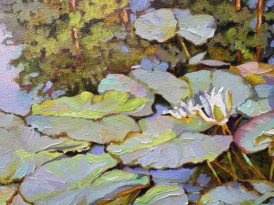 Summer pond.