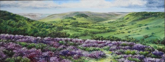 Rosedale Heather