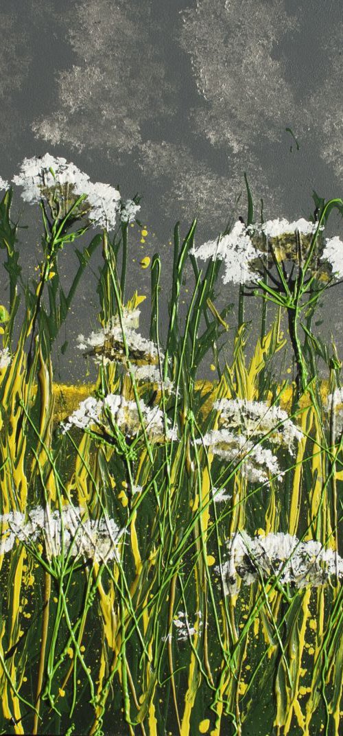 Cow Parsley by Jackie Ward