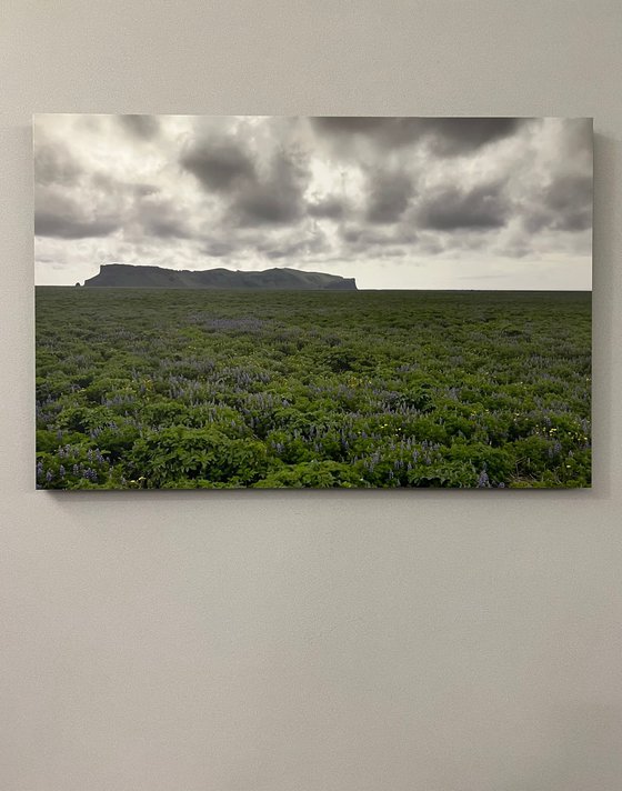 ICELANDIC EXPANSE