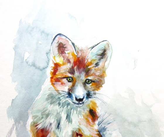 Red fox cub