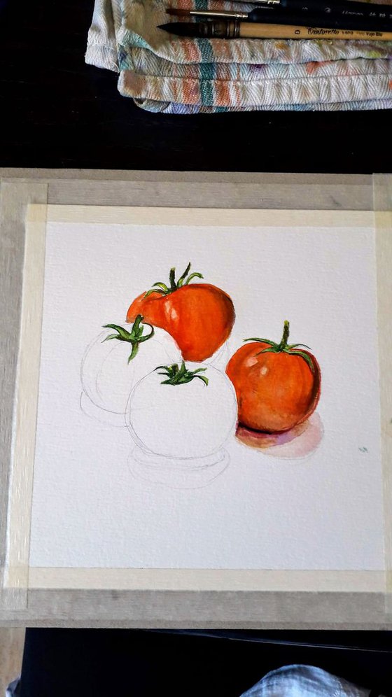 Tomatoes n.3