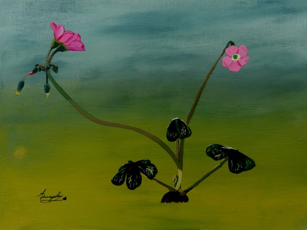 A Flowering Clover by Dunphy Fine Art