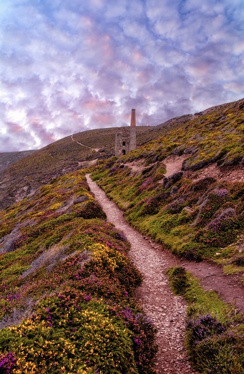 Wheal Coates Sunset and Heather by Paul Nash