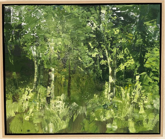 A Forest Dance