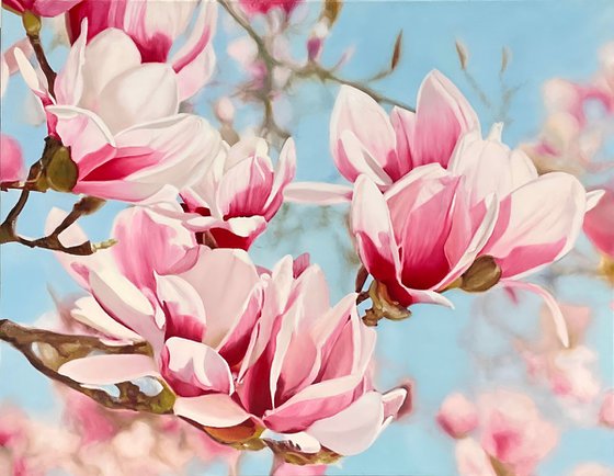 Magnolia Flowers