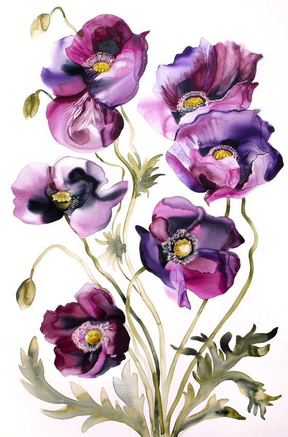 Poppies No. 8