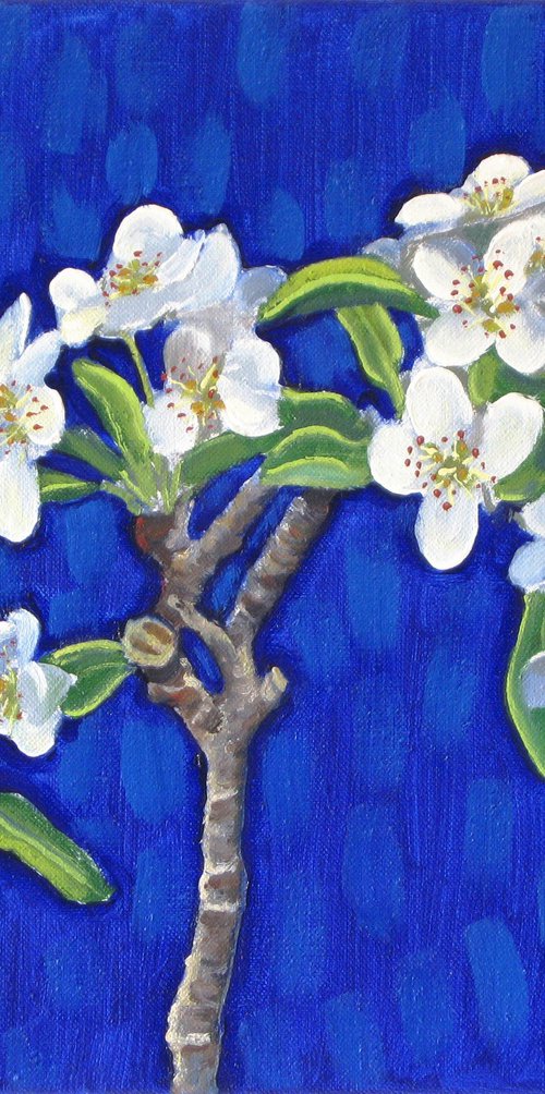 Stem of Flowering Pear by Richard Gibson