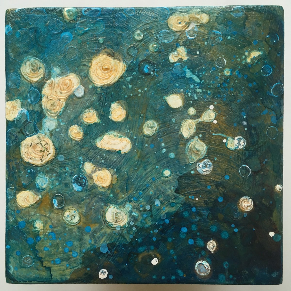 Limpets, no.5 by Nichola Campbell