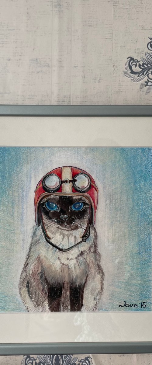 Aviator Cat by Jelena Nova