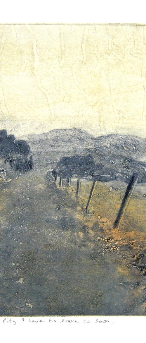 Pity I have to leave so soon. by Aidan Flanagan Irish Landscapes