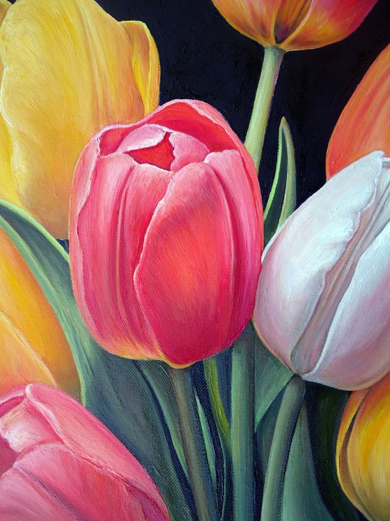 "Tulip Symphony"