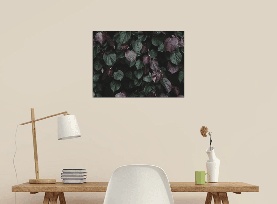 Winter leaves I | Limited Edition Fine Art Print 1 of 10 | 45 x 30 cm