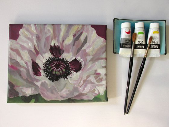 white poppy