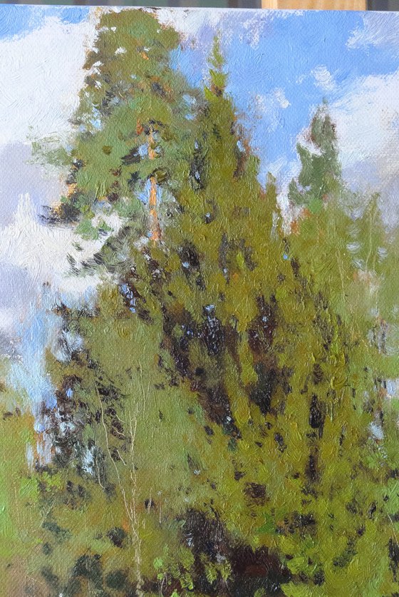 May Forest