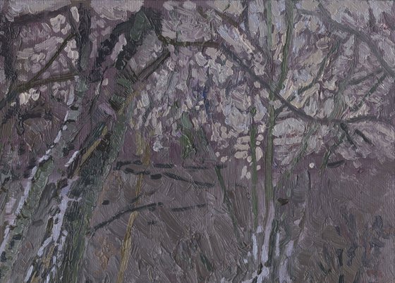 February. Alley in Tsaritsyno Park