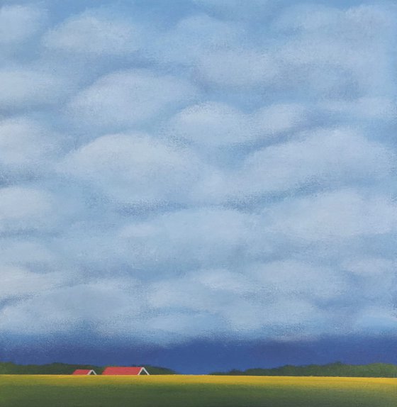 White Clouds, Golden Daffodils