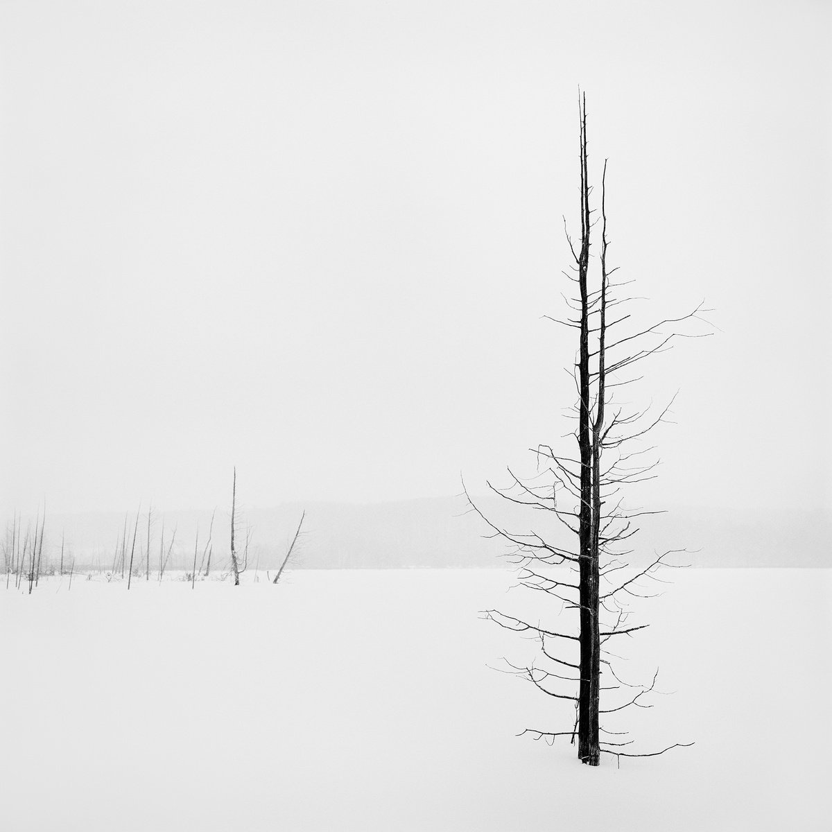 Narada Lake 01 by Jason Robert Jones