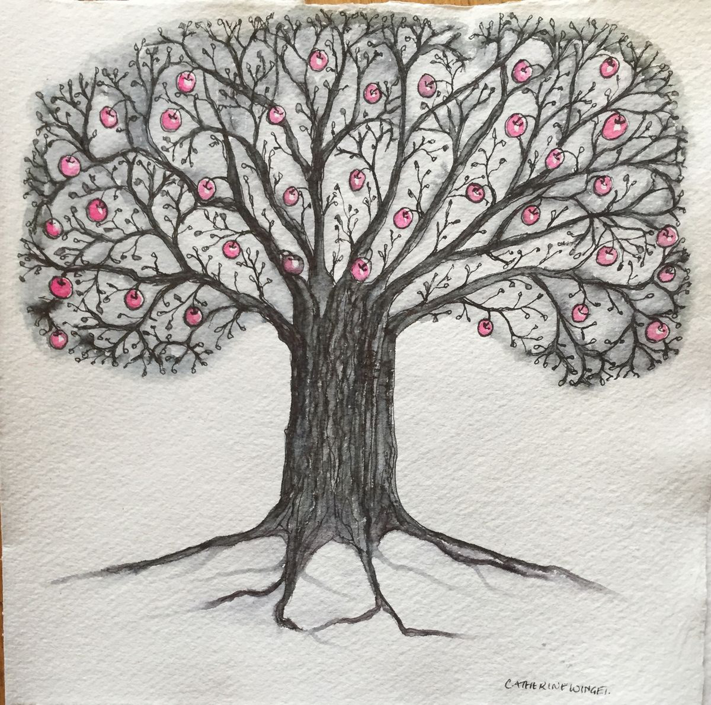 Big Old Apple Tree Pink Apples Pen And Ink Wat Artfinder
