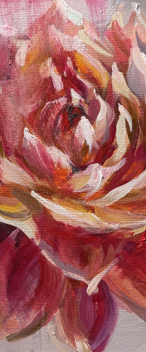 Velvet Dahlia by Olena Hromova