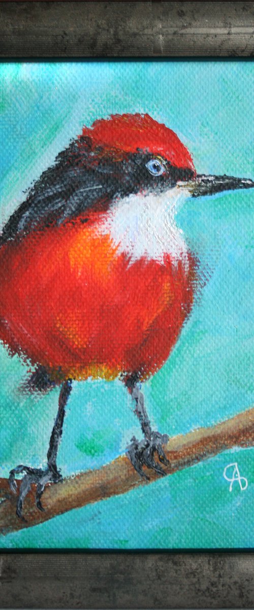 BIRD I. CRIMSON CHAT framed / FROM MY A SERIES OF MINI WORKS BIRDS / ORIGINAL PAINTING by Salana Art Gallery