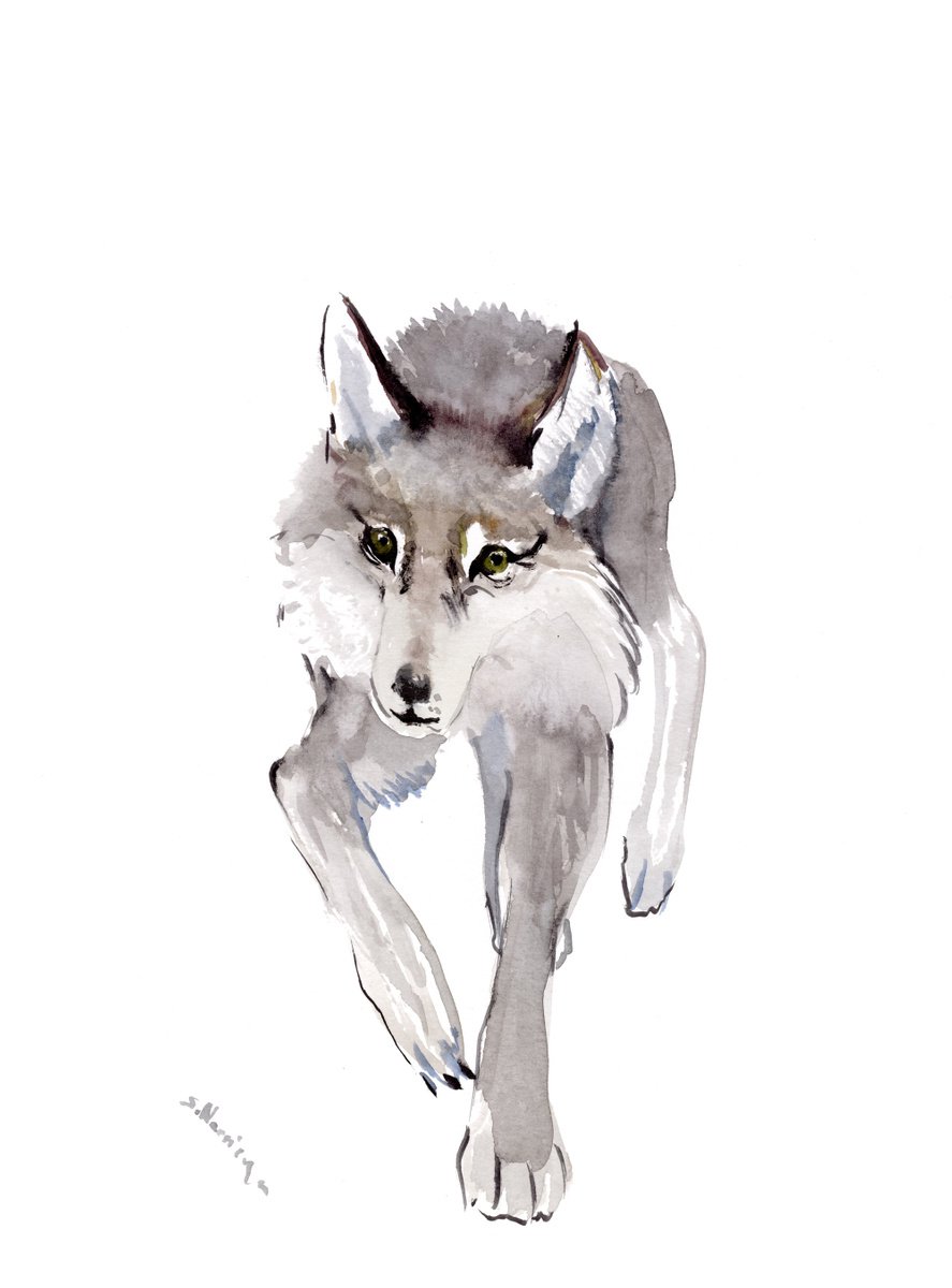 Wolf by Suren Nersisyan