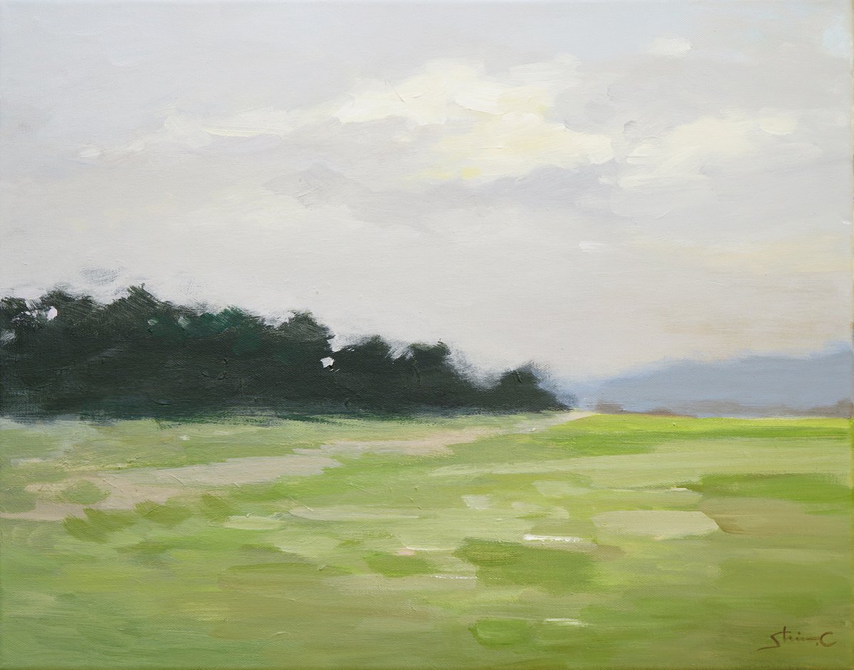 Grass Field by Shina Choi