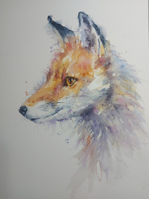 Fox portrait by Sue  Green