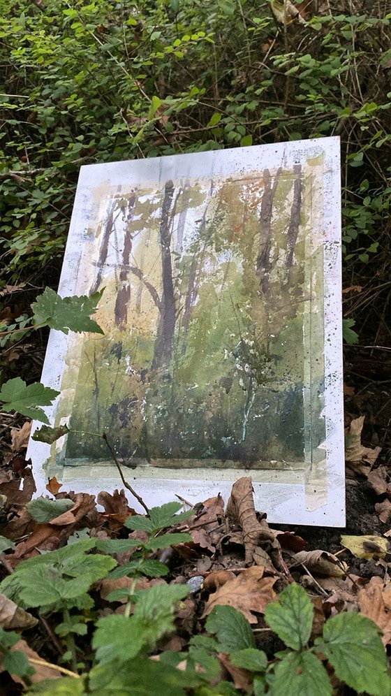 Captured Breath of Autumn Evening