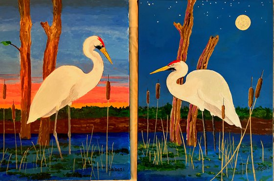 DAWN & DUSK