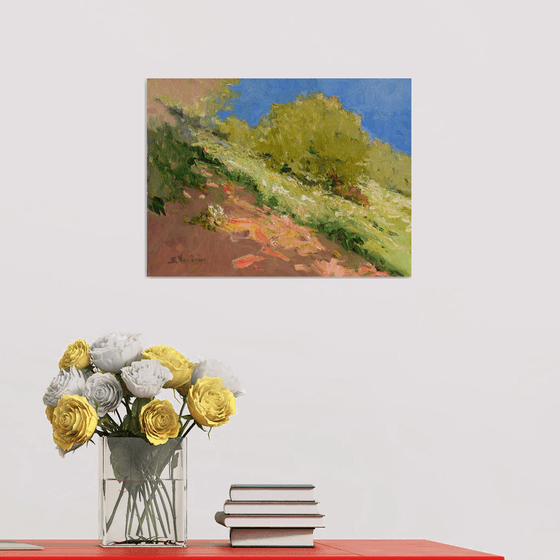 Summer Meadow. HIllside