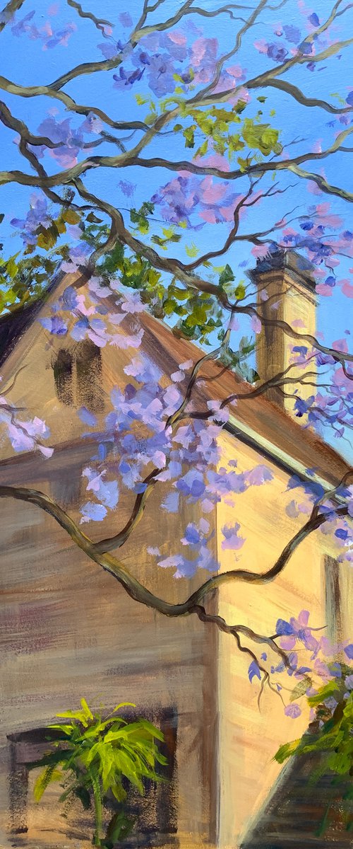 Yellow stone house with jacaranda by Shelly Du