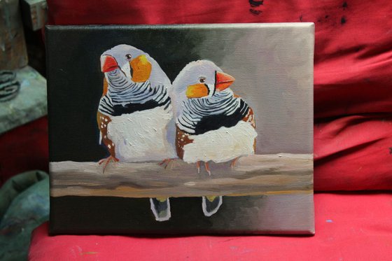 Zebra Finches