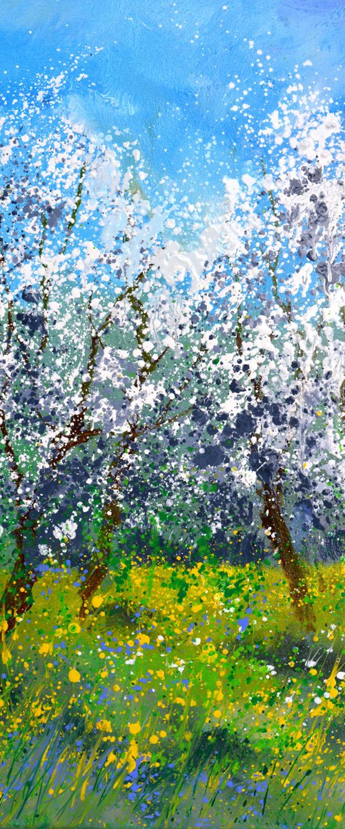 Full spring in my countryside   -5624 by Pol Henry Ledent