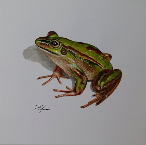 Princess Frog by Yafit Moshensky
